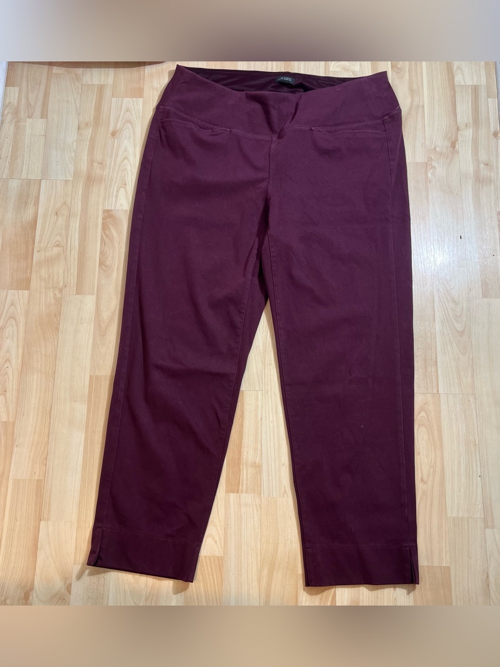J.Jill Womens Maroon Wearever Collection Pull On Pants Size XL